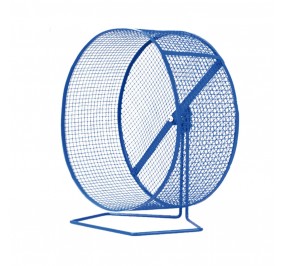 Rueda Ejercicio