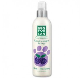 COLONIA MORA Men For San
