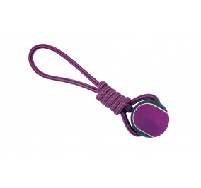 Cuerda Dental Ternera Con Bola