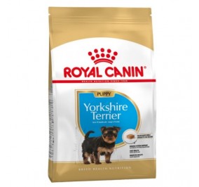 Royal Canin Yorkshire Junior