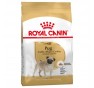 Royal Canin Pug ( Carlino)