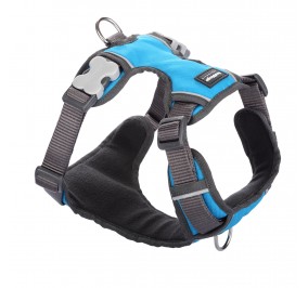 Arnes RED DINGO Acolchado XS