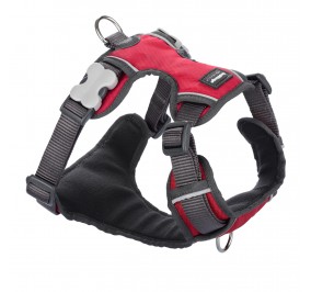 Arnes RED DINGO Acolchado XS