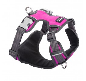 Arnes RED DINGO Acolchado XS