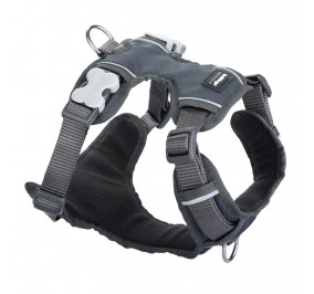 Arnes RED DINGO Acolchado XS