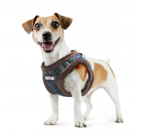 ARNES XT_DOG NORDIC
