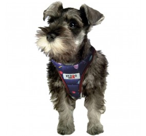 ARNES XT_DOG PLANETAS