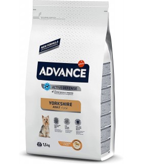 ADVANCE YORSHIRE