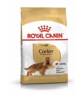 Royal Canin Cocker