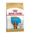 Royal Canin Cocker Junior