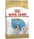 Royal Canin Jack Russel Junior