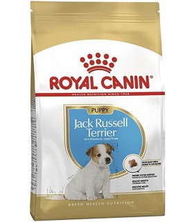 Royal Canin Jack Russel Junior