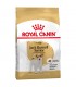 Royal Canin Jack Russell