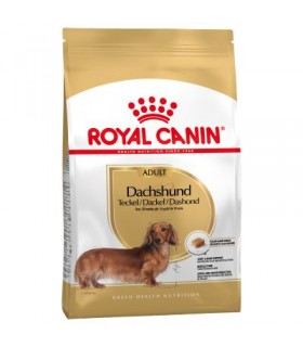 Royal Canin Teckel