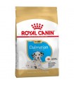 Royal Canin Dalmata Junior