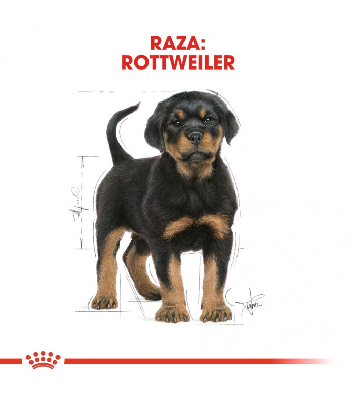 Royal Canin Rotwailer Junior