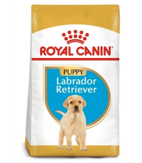 Royal Canin Labrador Junior