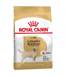 Royal Canin Labrador