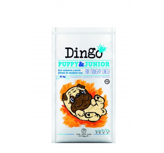 Dingo Puppy