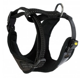 Arnes XT-Dog Negro