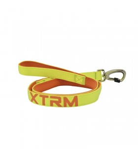 Correa X_TRM Neon
