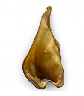 Oreja de Ternera