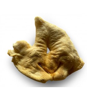 Nariz de Cordero