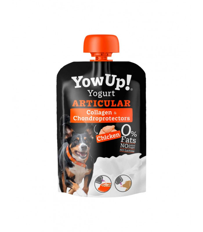 Yogur YOWUP Articular