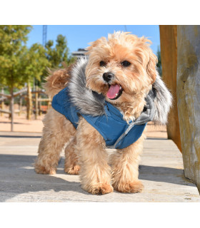 Chaqueta Canada Azul