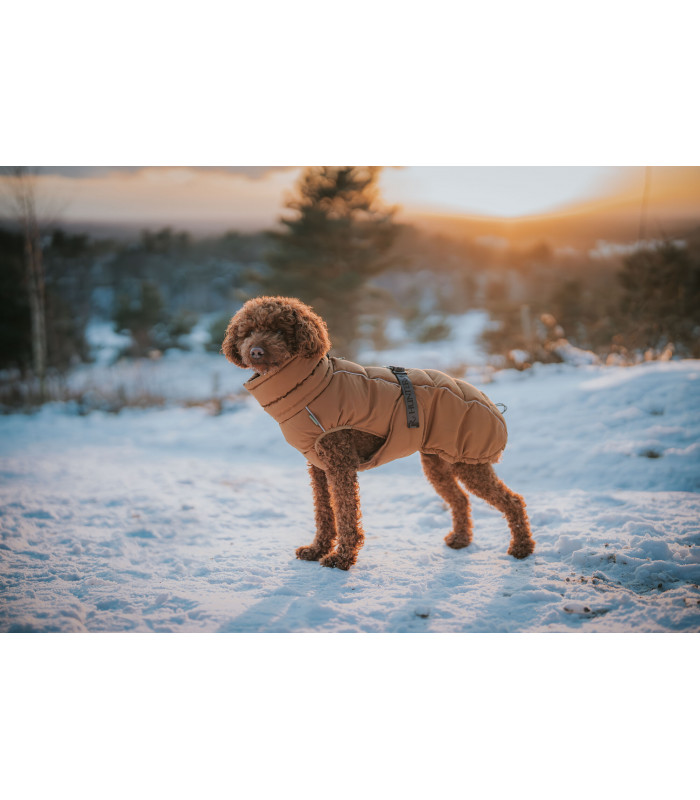 Abrigo  Hunter Paxson Marron