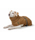 Abrigo  Hunter Paxson Marron