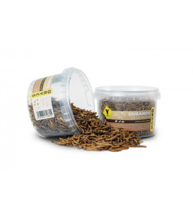 ORYCS Gusanos de la Harina