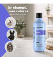 Champu ARTERO Blanc