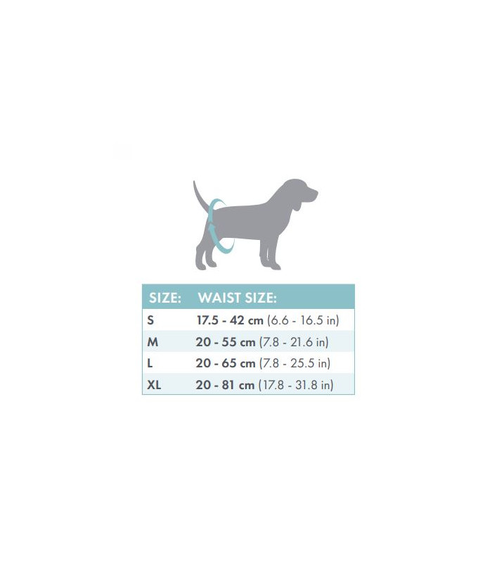 Pañales Para Perros Macho M