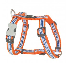 Arnes Red Dingo Naranja