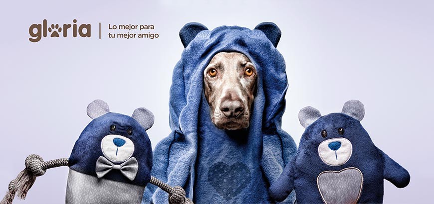 Gloria - Lo mejor para tu mejor amigo